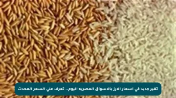 تغير جديد في أسعار الأرز بالأسواق المصرية اليوم.. تعرف على السعر المحدث